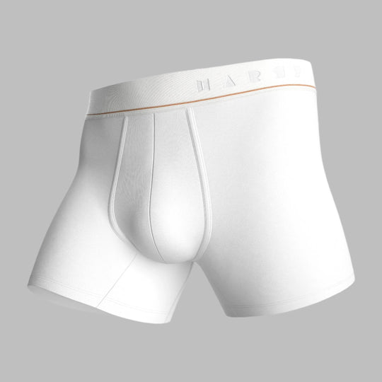 HAXEL - Boxer Brief - Paquete múltiple (paquete de 2)